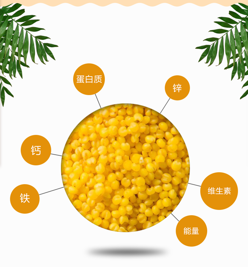 小米米粉_05.png